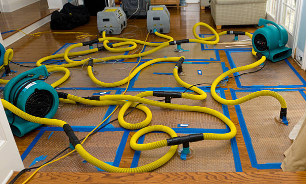 Professional Crawl Space Water Removal technician working in Slaughter, LA